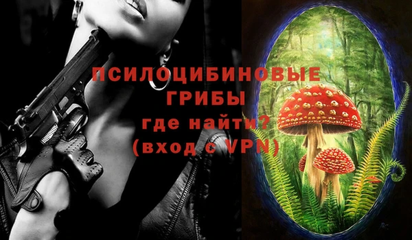 бошки Белокуриха