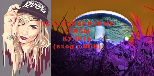 таблы Верея