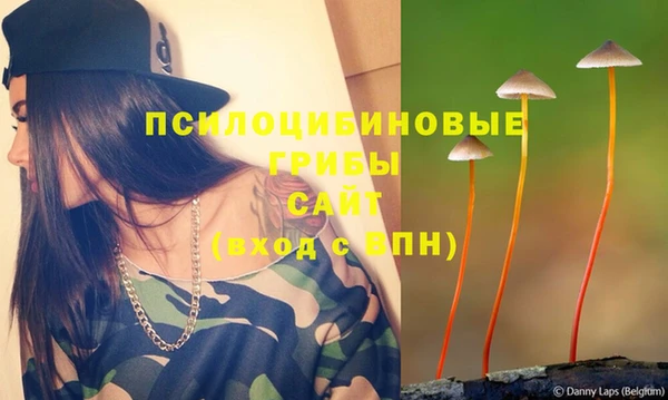 бошки Белокуриха